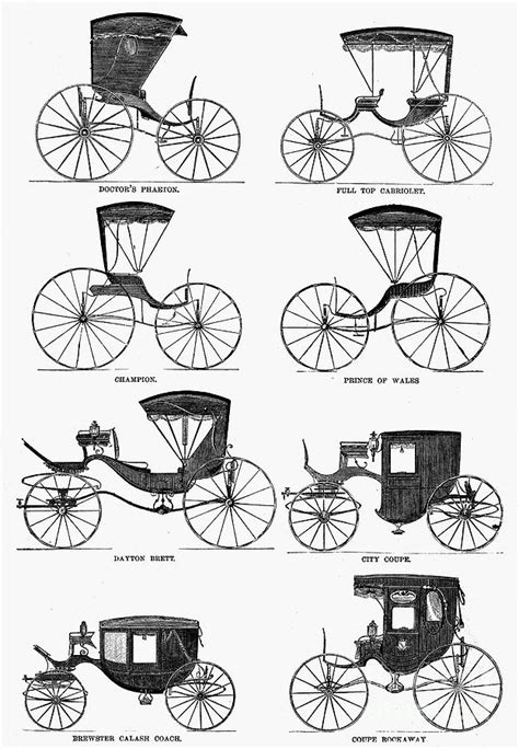 Carriage Types, C1860 Photograph by Granger