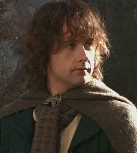 Pippin (Peregrine Took) cousin to Frodo from The Lord of the Rings ...