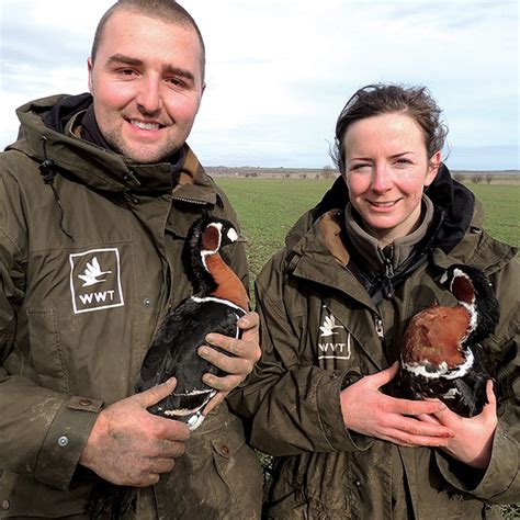 Baer's pochard conservation | WWT