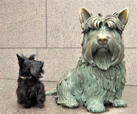 Wallace Monument, Stiringshire, Scotland | Scottie dog, Scottish terrier, Terrier