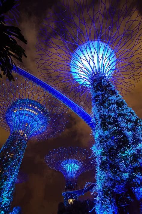 Gardens by the Bay Super Tree Grove Light Show Editorial Image - Image of outdoors, lighting ...