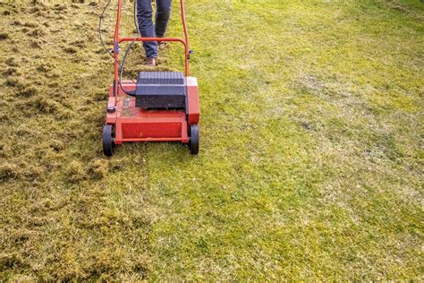 My Scarified Lawn Looks Terrible | How To Revive Your Grass