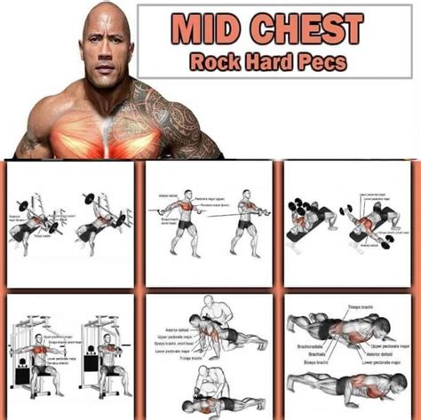 Mid Chest Training - The Rock Hard Pecs Workout Chest Workout Women, Best Chest Workout, Chest ...