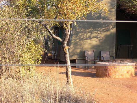 KOKORIBA GAME RESERVE - CARAVAN PARK - Updated 2024 Cottage Reviews (Brits, South Africa)