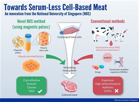 Meat of the Future: Ecofriendly Lab-Grown Meat