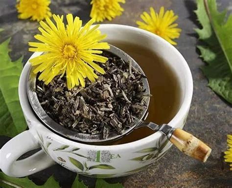 Dandelion Tea: Take A Look At Some Health Benefits Of This Amazing Drink | HerZindagi