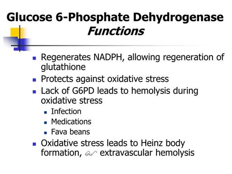 PPT - Course title: Hematology (1) Course code: MLHE-201 Supervisor: Prof. Dr Magda Sultan ...