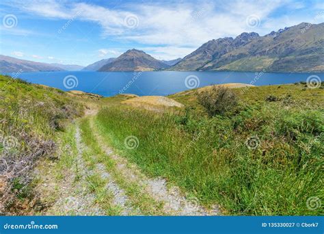 Hiking Jacks Point Track with View of Lake Wakatipu, Queenstown, New Zealand 34 Stock Image ...