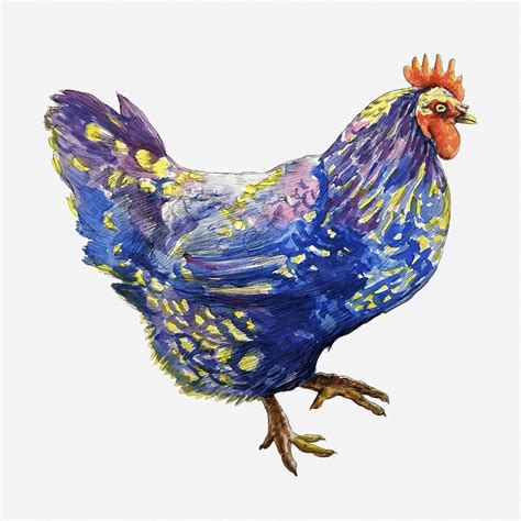 Blue chicken clipart illustration. Free | Free Photo - rawpixel