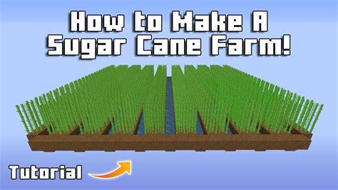 Hypixel Skyblock - How to Make A Sugar Cane Farm! | Tutorial (Minecraft) - YouTube