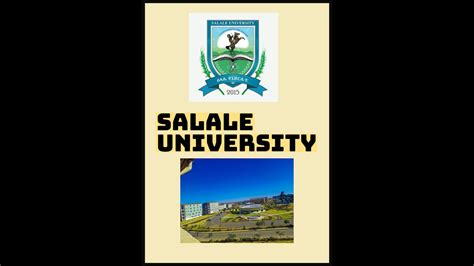 salale university - YouTube