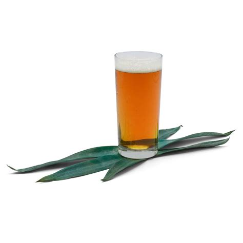 Mexican Agave Lager Extract Recipe Kit