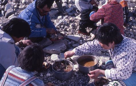 Traditional Inuit Food Recipes - Infoupdate Wallpaper Images