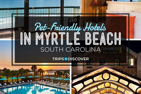 9 Pet-Friendly Hotels in Myrtle Beach, South Carolina – Trips To Discover