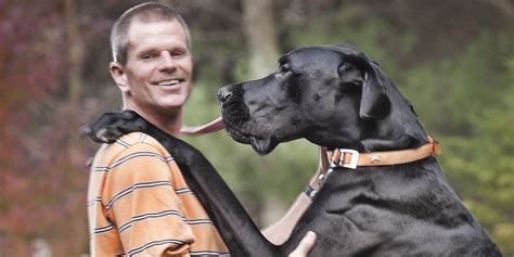 Rest In Peace Zeus, World's Tallest Pooch | HuffPost