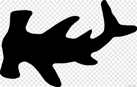 Great White Shark, Gallery Icon, Whale Shark, Shark Fin, Bape Shark, Shark Attack #476356 - Free ...