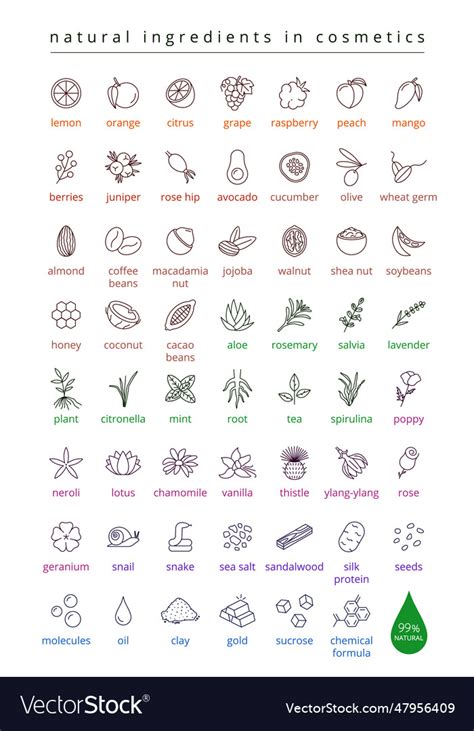 Natural ingredients in cosmetics Royalty Free Vector Image