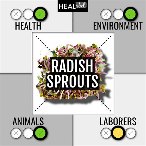 radish sprouts health benefits Archives | HEALabel