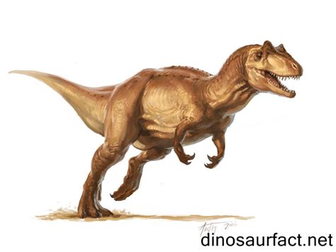 Allosaurus dinosaur