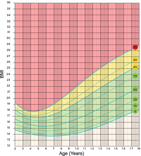 5 Images Bmi Calculator Kids And Description - Alqu Blog