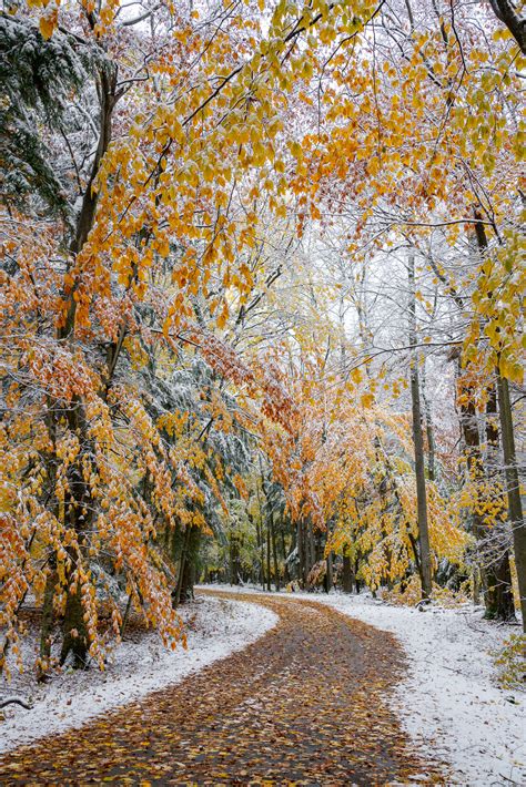 Snowy Fall Colors in Door County, Wisconsin - Luke Collins Photography