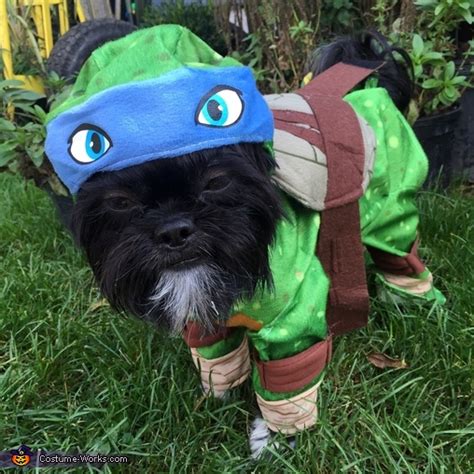 Ninja Turtle Dog Costume | Best Halloween Costumes