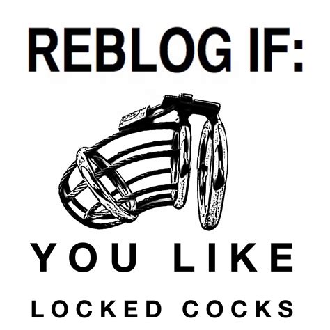 domtopv2:Lock those useless fag dicks up. - Tumblr Pics