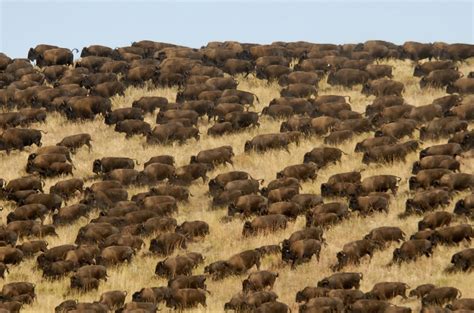 The Genesis of a Name (U.S. National Park Service)