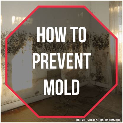 Preventing Mold Growth