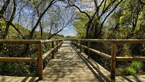 ÁREAS VERDES, descubre todos estos espacios naturales aquí