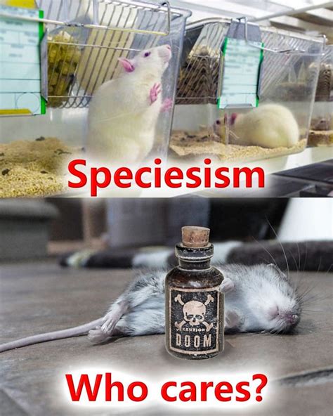 Don’t call me speciesist: hypocrisy of the animal rights movement ...