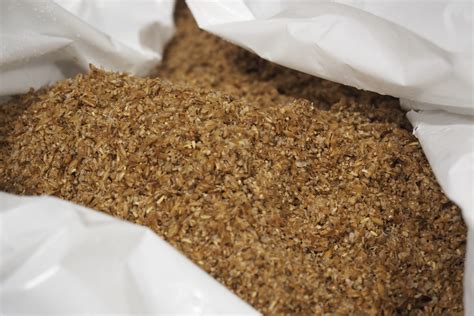 Can you replace malt barley grain flour with spent grains? — The Spent ...