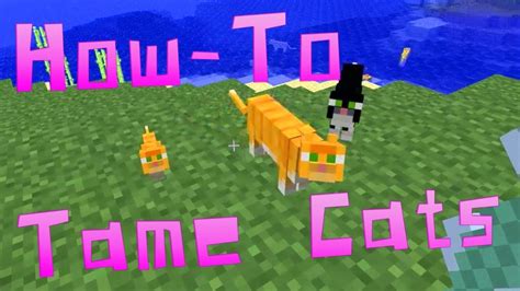 Minecraft Snapshots - How-To Tame & Breed Ocelots (Cats) in Minecraft HD - YouTube