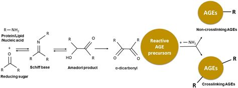 Nutrients | Free Full-Text | Advanced Glycation End-Products and Their ...