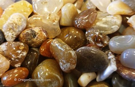 Agate Hunting | Agate Varieties - Oregon - Oregon Discovery