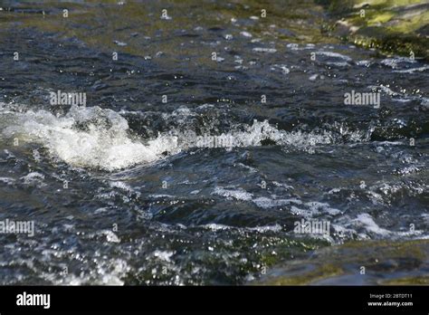 A river runs through it Stock Photo - Alamy