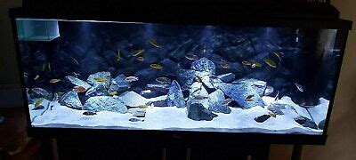 Aquarium Sand White Gravel Fish Tank Substrate for Malawi Cichlid ...