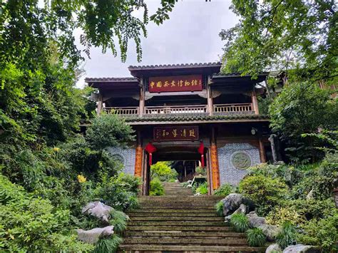 From the dragon's well: tasting longjing tea in Hangzhou, China ...