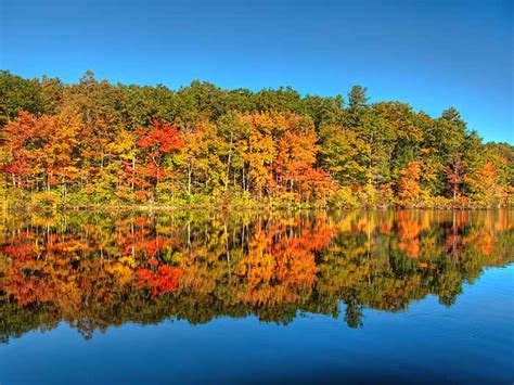 Fall Color in Rhode Island