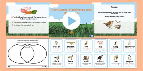 Herbivore Adaptations | What is a Herbivore? | Teaching Wiki