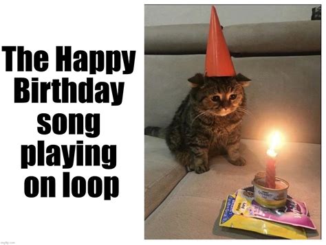 Sad Cat Birthday Meme - Quotes Viral