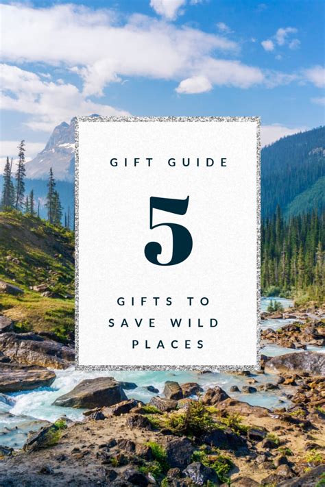 Eco-friendly Gift Guide: Gifts from Brands Helping Preserve the ...