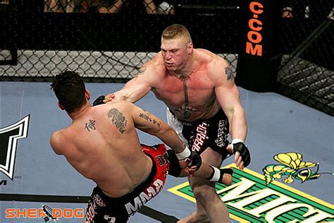 Ufc Cain Velasquez Vs Brock Lesnar Full Fight Video - Caini Romania