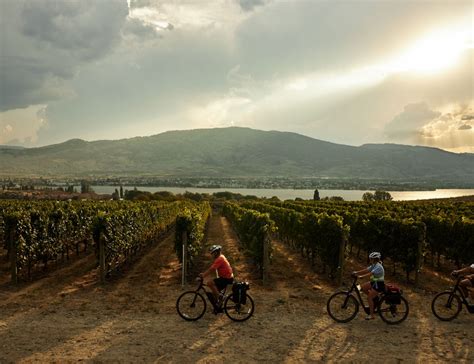 Okanagan Falls — Oliver - BC Rail Trails