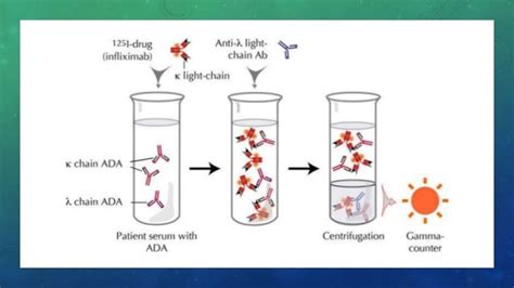 Radioimmunoassay