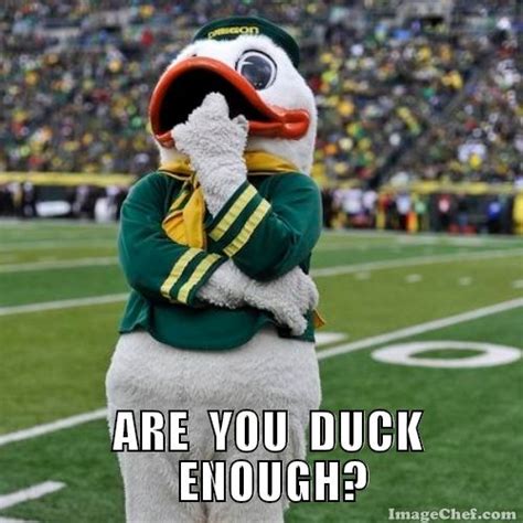 Pin by Sharon Landis on MY MEMES OREGON DUCK MASCOT | Oregon ducks ...