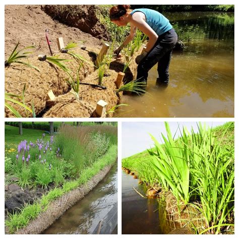 COIR LOG COIR NET FOR RIVER BANK STABILIZATION - COCO HITECH