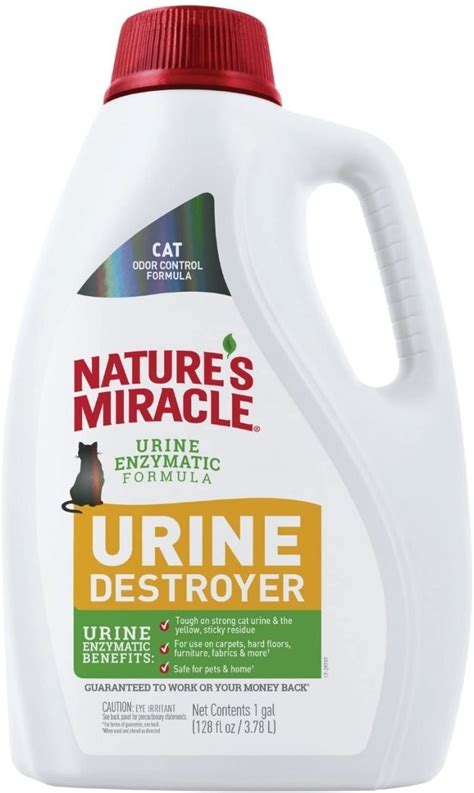 Best Carpet Cleaner for Cat Urine 2021 Reviews - Kitten Passion