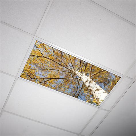 Octo Lights - Fluorescent Light Covers - 2x4 Flexible Decorative Light Diffuser Panels - Tree ...