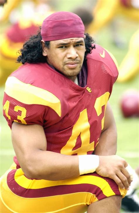 Fight on, Troy! | Trojans football, Usc trojans football, Troy polamalu